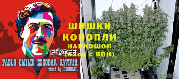 дживик Аркадак