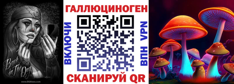 Псилоцибиновые грибы мицелий где найти Аткарск